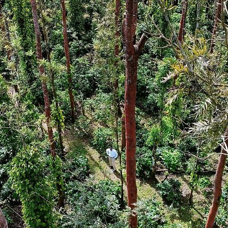 Nexstay Coffee Grove Resort Chikmagalūr Exterior foto