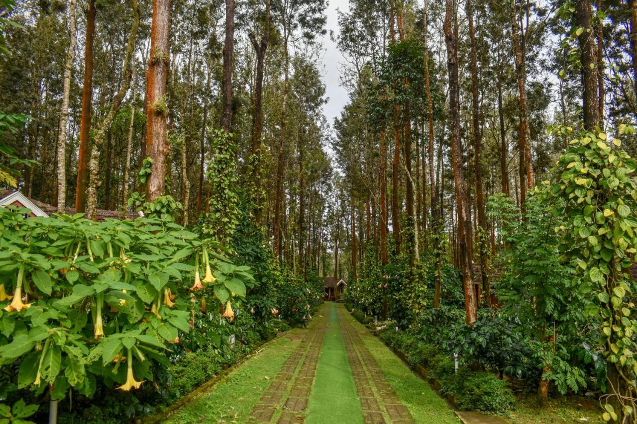 Coffee Grove Resort Chikmagalūr Exterior foto