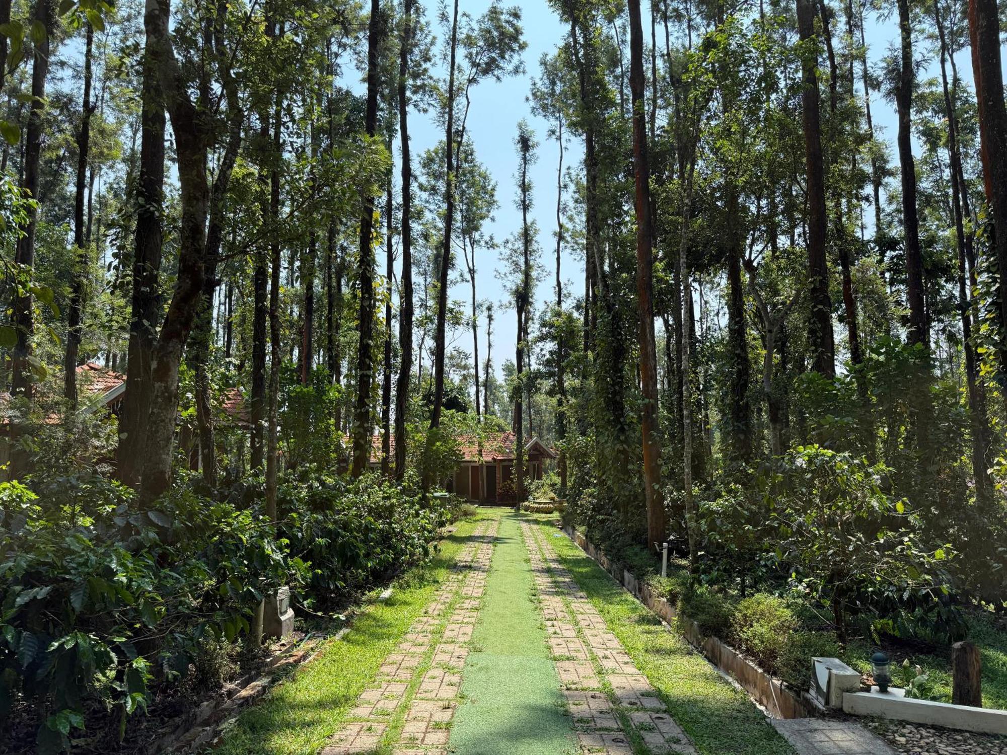 Coffee Grove Resort Chikmagalūr Exterior foto