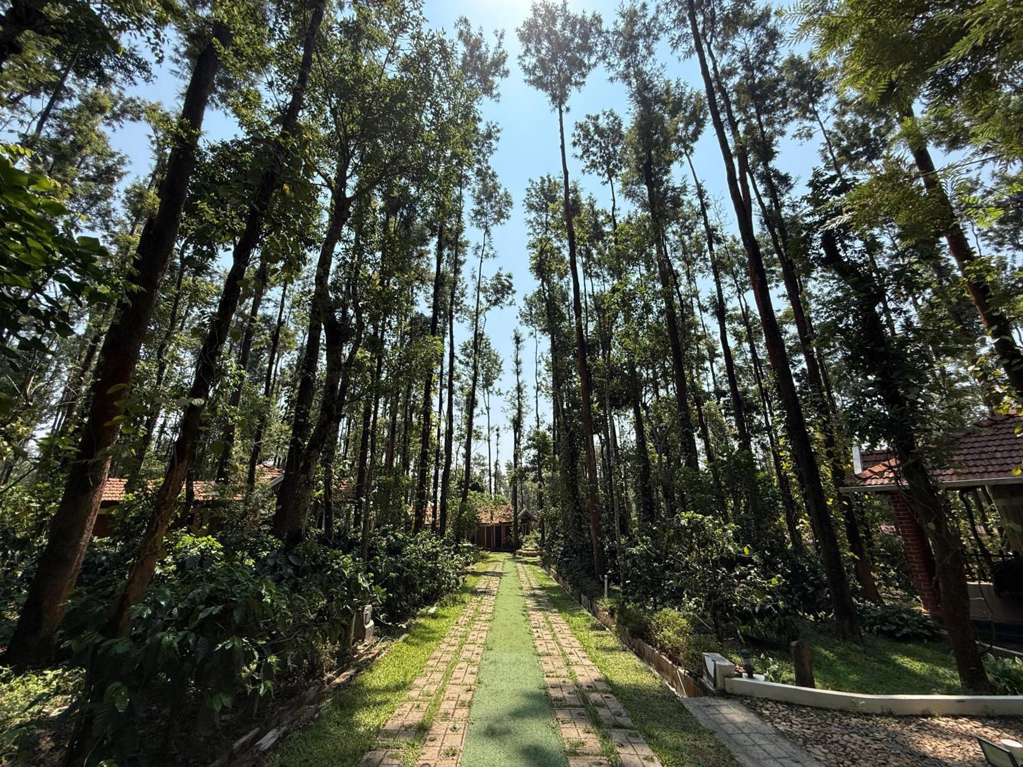 Coffee Grove Resort Chikmagalūr Exterior foto